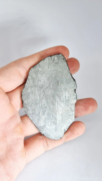 Muonionalusta Meteorite Slice – 76.99g | Sweden