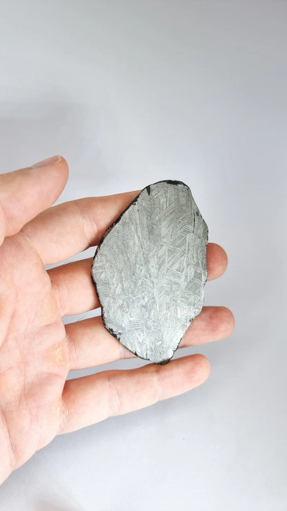 Muonionalusta Meteorite Slice – 76.99g | Sweden