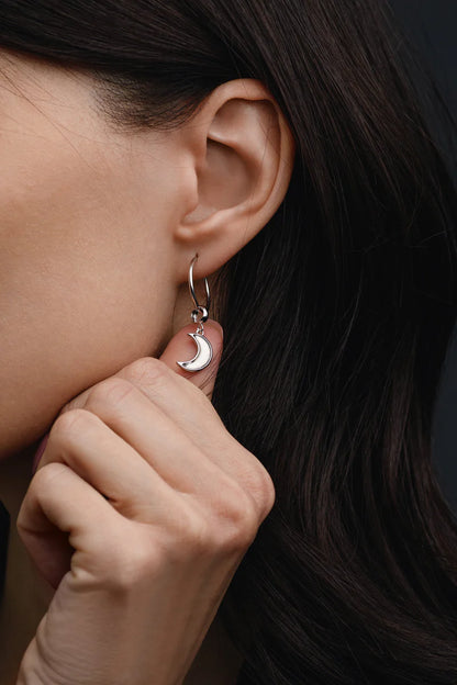 Muonionalusta Meteorite Lunar Earrings