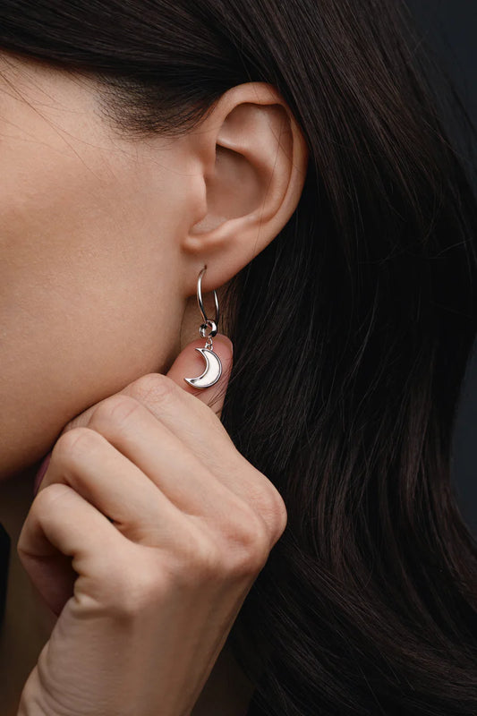 Muonionalusta Meteorite Lunar Earrings